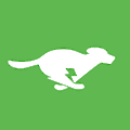 GreenSpark Solar