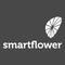 Smartflower Pacific