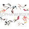 Sophia Webster