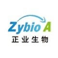 Zhengye Biotechnology Holding