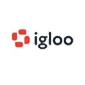 Igloo Software