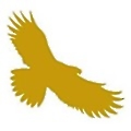 Self Management Group