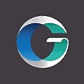 Geospatial Insight