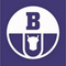 Boryszew Group