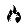 Mission Phoenix