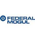 Federal-Mogul Goetze India