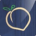 Peachtree Woodworking Supply