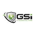Gis Surveyors