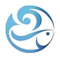 Shanghai Alliance Financial Services