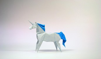 How Old Are The $1B+ Unicorn Companies?